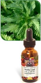 Nettle Leaf Liquid Extract benefits joint, lung, and digestion health